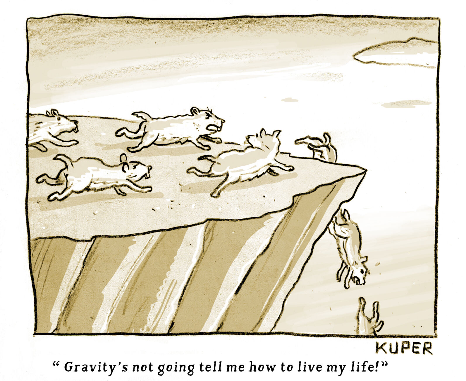 Friday cartoon